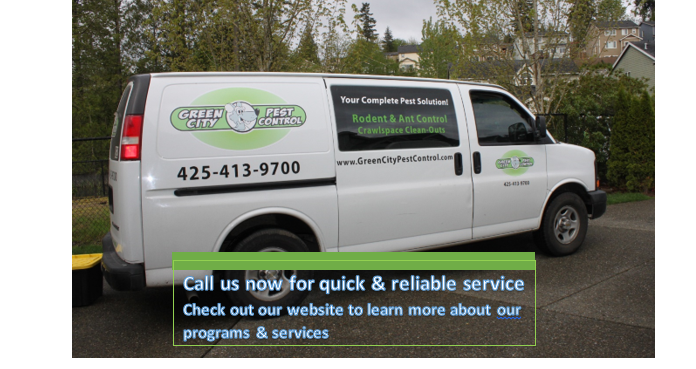 Green City Pest Control | 22620 SE 216th Pl Suite B, Maple Valley, WA 98038, USA | Phone: (425) 413-9700