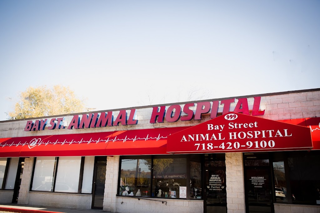 Bay Street Animal Hospital | 999 Bay St, Staten Island, NY 10305, USA | Phone: (718) 420-9100