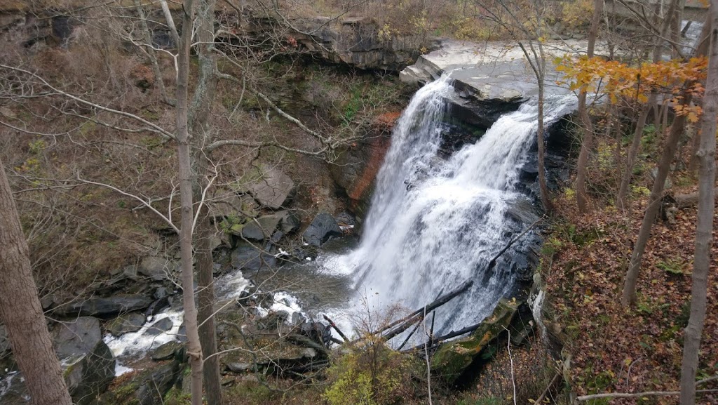 Brandywine Falls | 8176 Brandywine Rd, Northfield, OH 44067, USA | Phone: (440) 717-3890