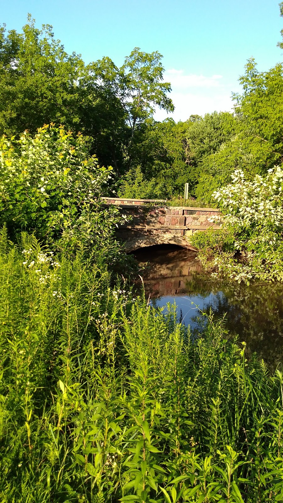 Liston Dog Park | 702 Hill St, Baraboo, WI 53913, USA | Phone: (608) 355-2760