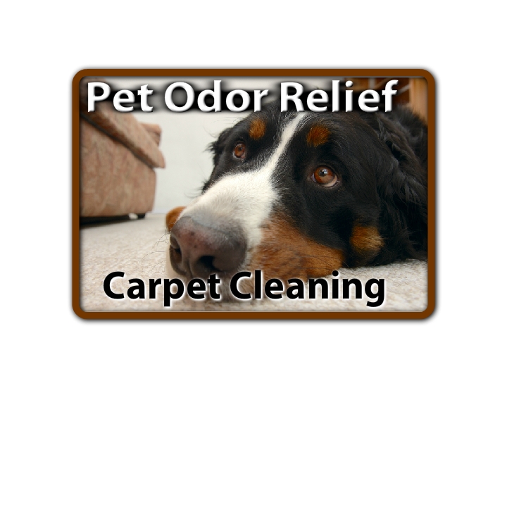 Gallaghers Carpet Care | 4790 Dewey Dr unit h, Fair Oaks, CA 95628, USA | Phone: (916) 300-9010