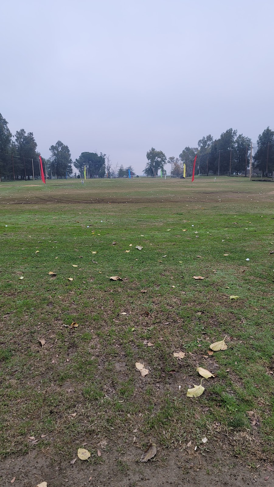 Gary Lipelt PGA Professional | 24439 Fairway Dr, Davis, CA 95616, USA | Phone: (530) 756-4010