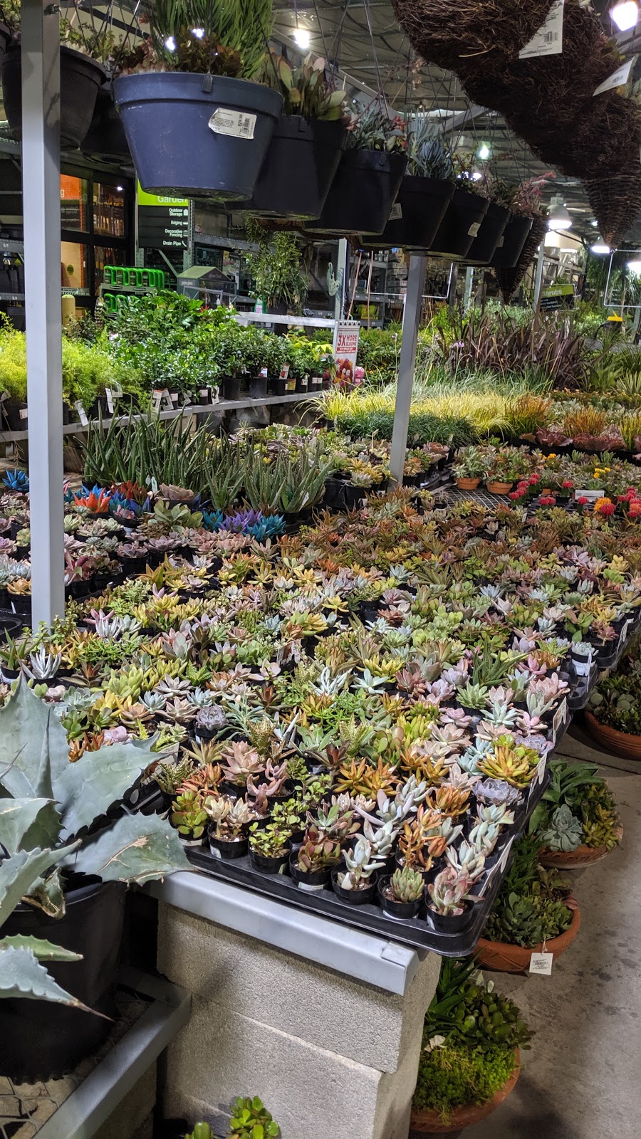 Garden Center at The Home Depot | 680 Kifer Rd, Sunnyvale, CA 94086, USA | Phone: (408) 245-3686