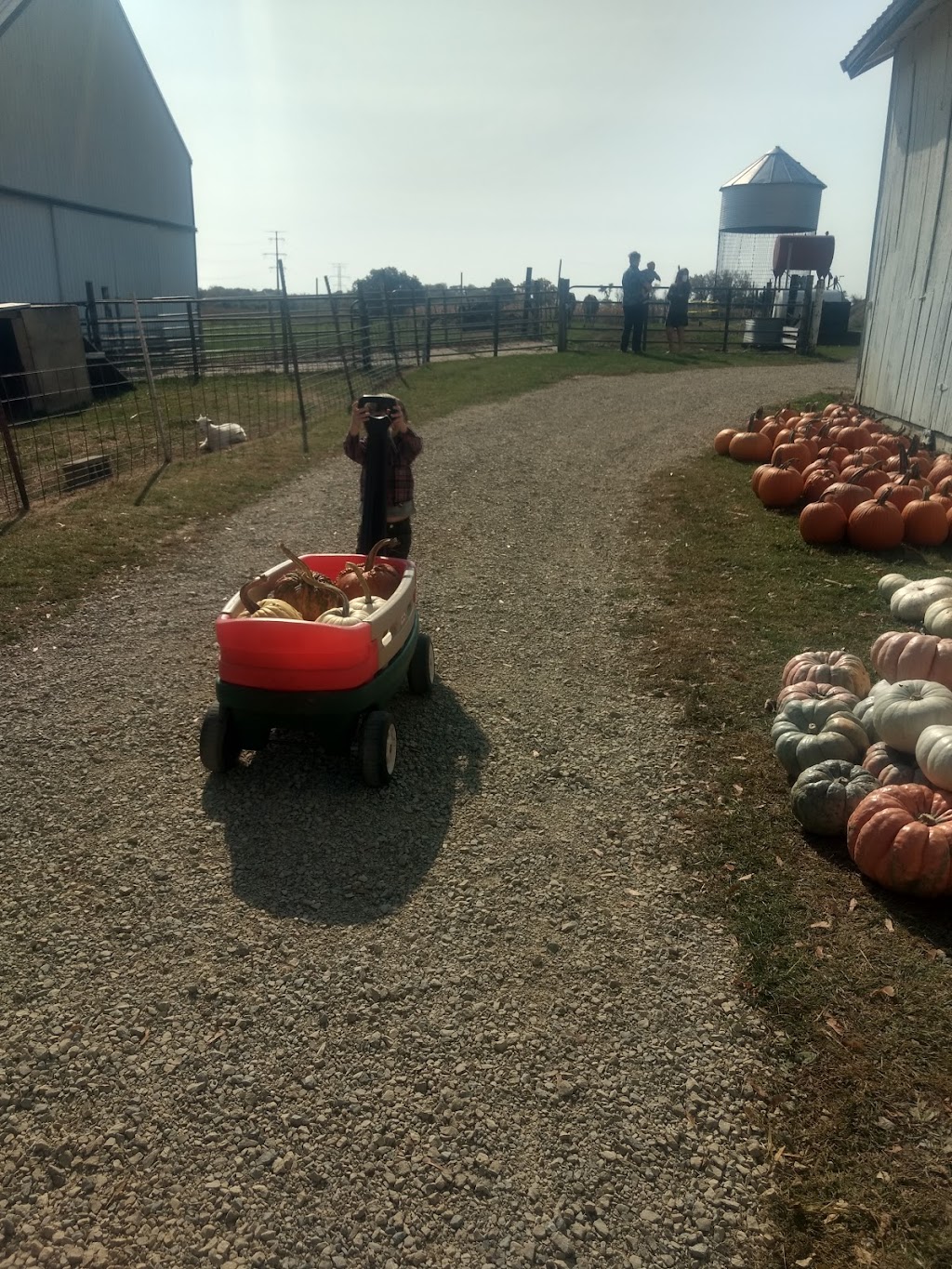 Hermanson Pumpkin Patch | 127 County Hwy N, Edgerton, WI 53534 | Phone: (608) 751-9334