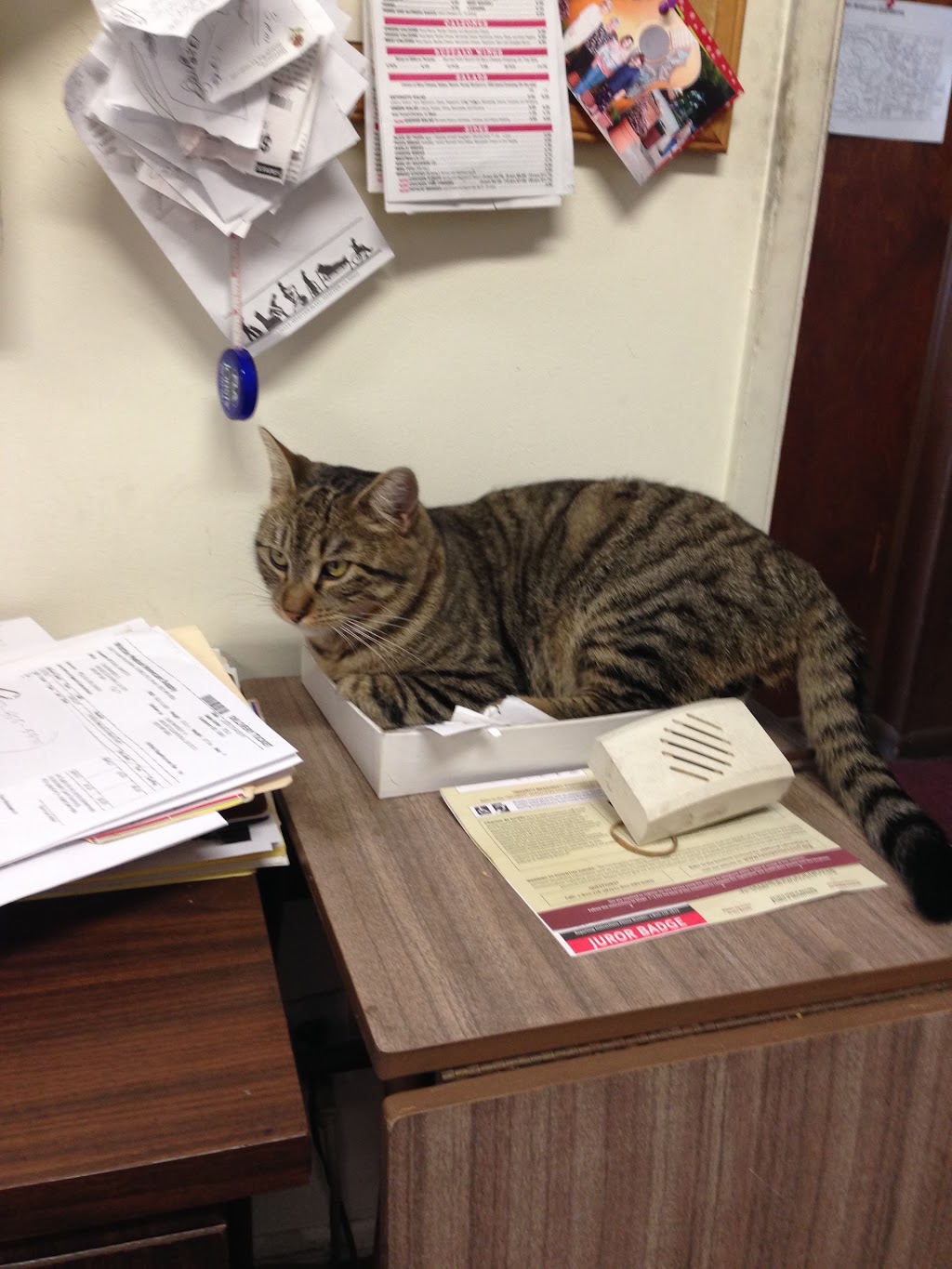 Pomona Medical Supply Co | 733 E Holt Ave, Pomona, CA 91767, USA | Phone: (909) 623-4378