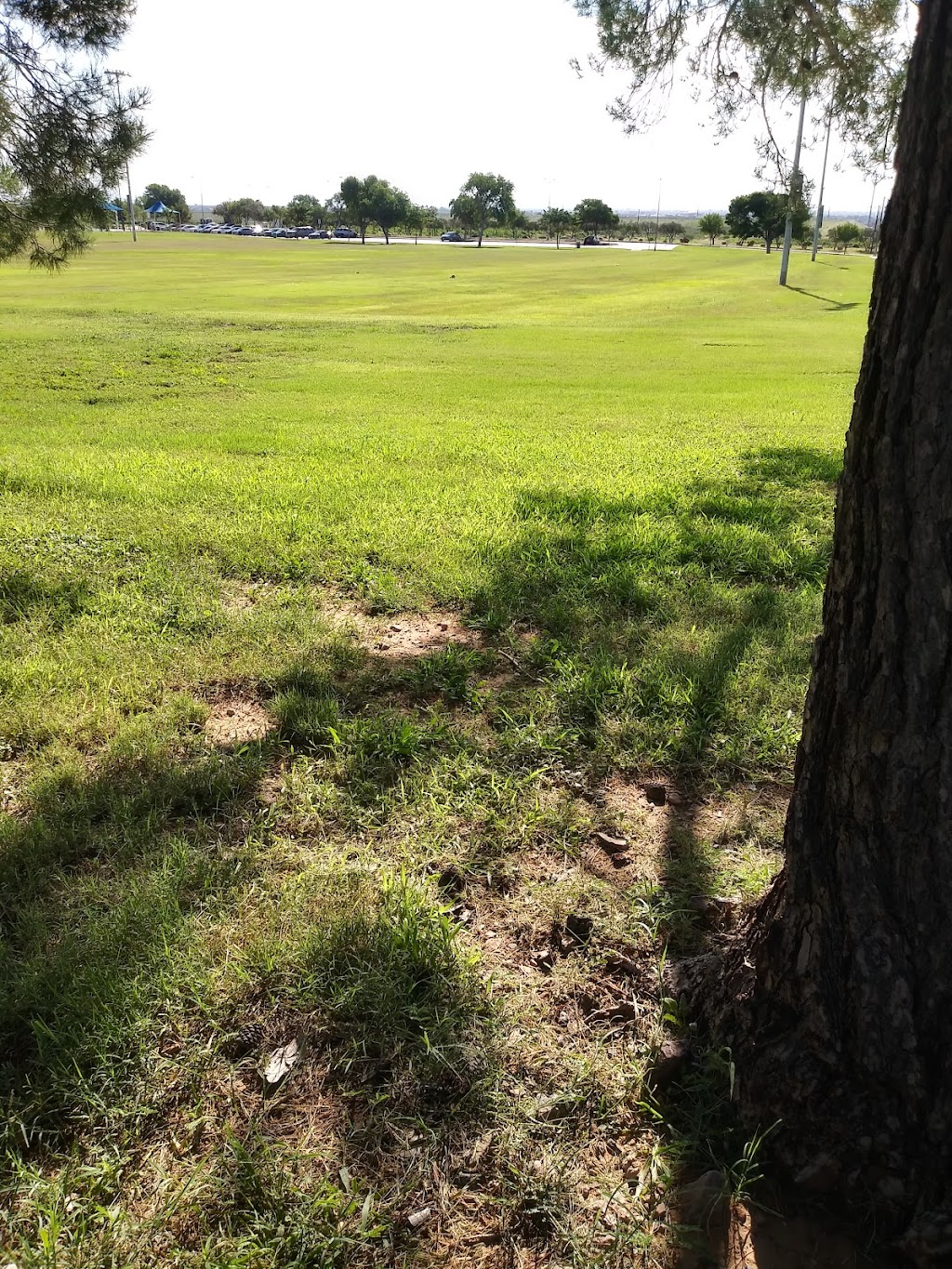 Sue Young Park | 9730 Diana Dr, El Paso, TX 79924, USA | Phone: (915) 212-0092