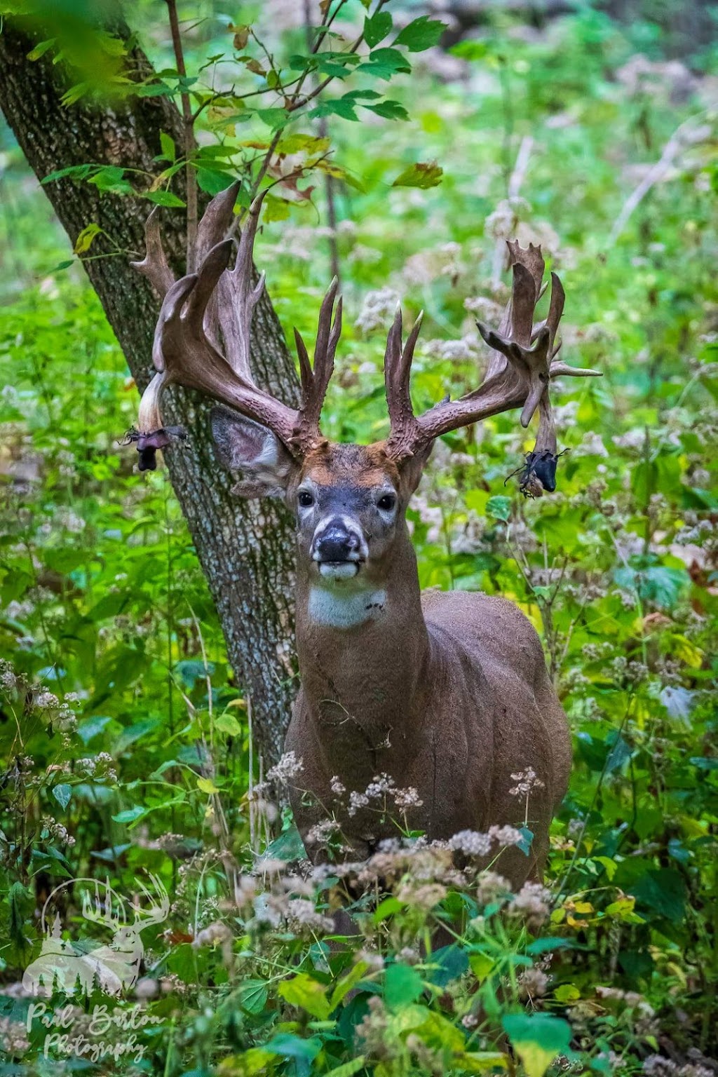 Antler Adventures | 891 Alexander Rd, Roberts, WI 54023, USA | Phone: (715) 293-9434