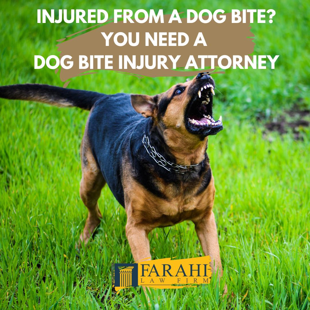 Farahi Law Firm, APC | 836 57th St Suite 542, Sacramento, CA 95819, United States | Phone: (916) 471-4797