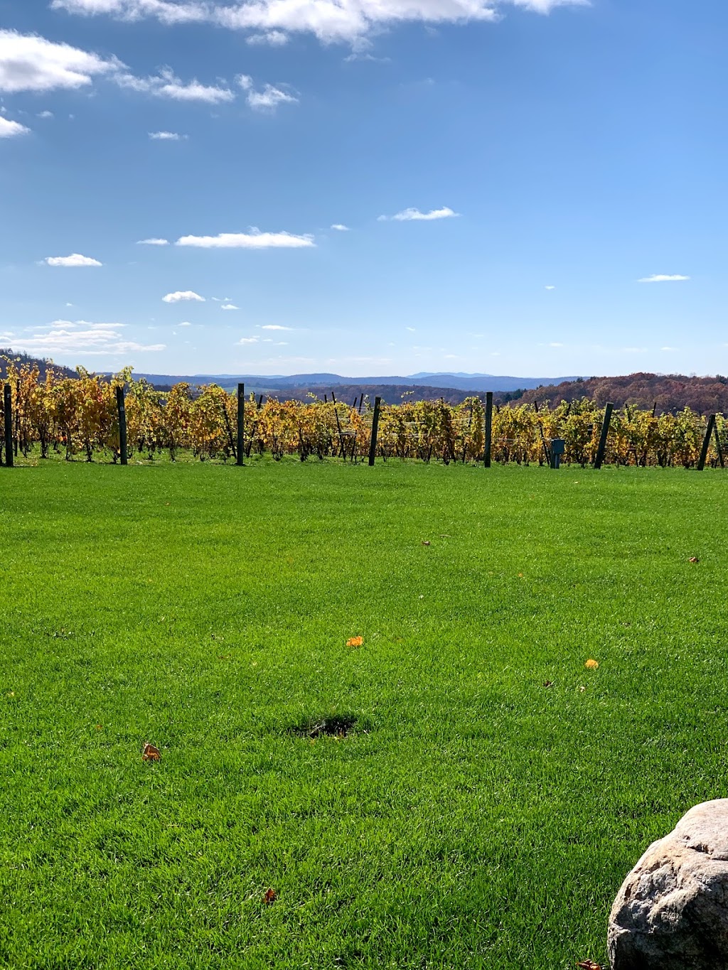 Millbrook Vineyards & Winery | 26 Wing Rd, Millbrook, NY 12545, USA | Phone: (845) 677-8383