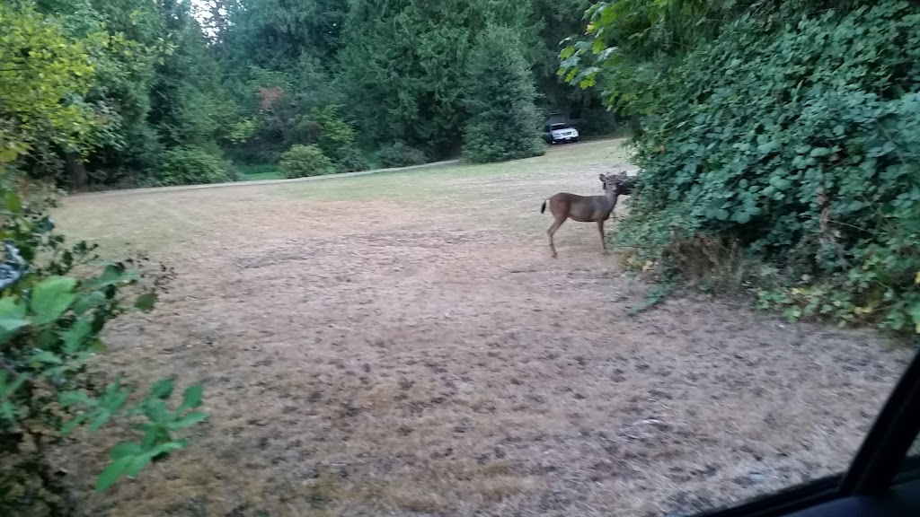 Auburndale II Park | 29700 118th Ave SE, Auburn, WA 98092, USA | Phone: (253) 931-3000