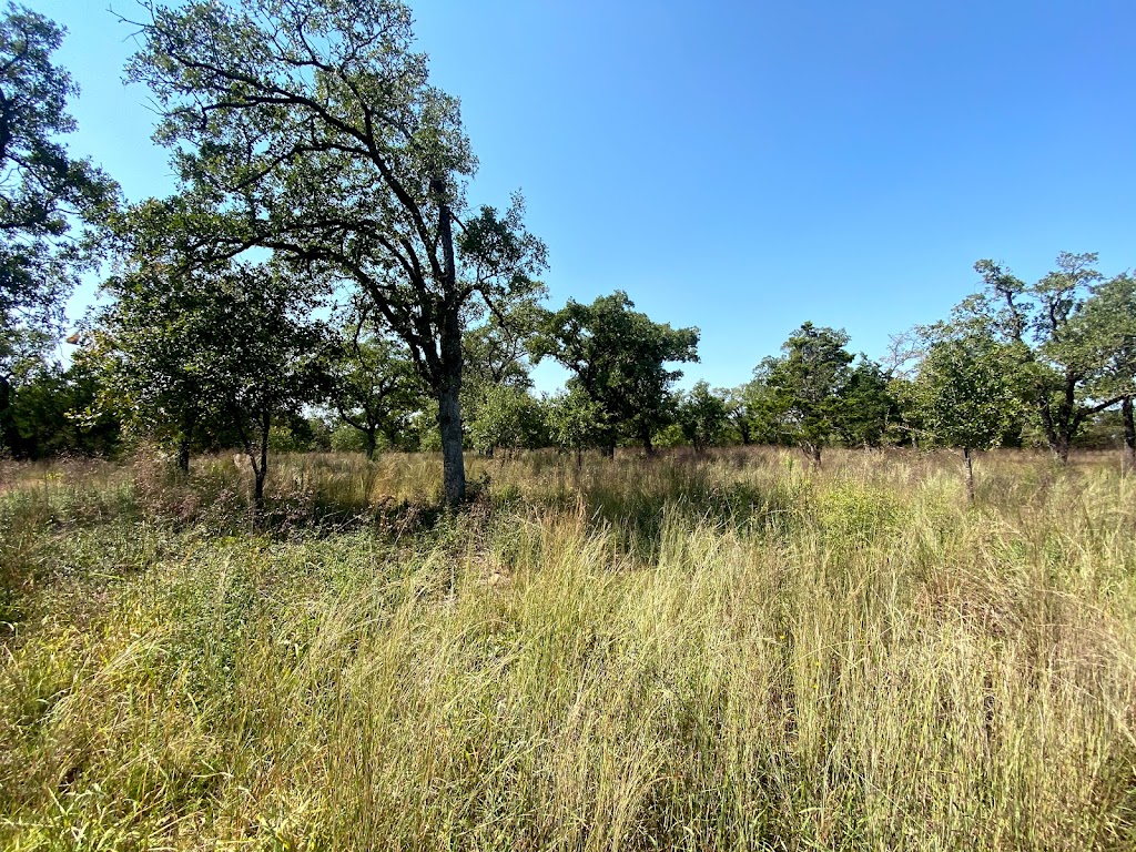 McKinney Roughs Nature Park | 1884 State Hwy 71 West, Cedar Creek, TX 78612, USA | Phone: (512) 303-5073