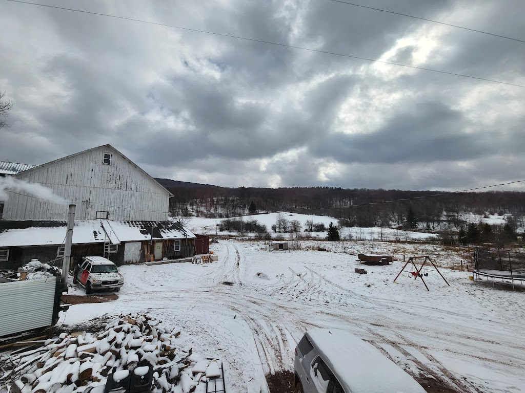 My Magical Farm | 834 Crescent Valley Rd, Bovina Center, NY 13740, USA | Phone: (347) 767-6048