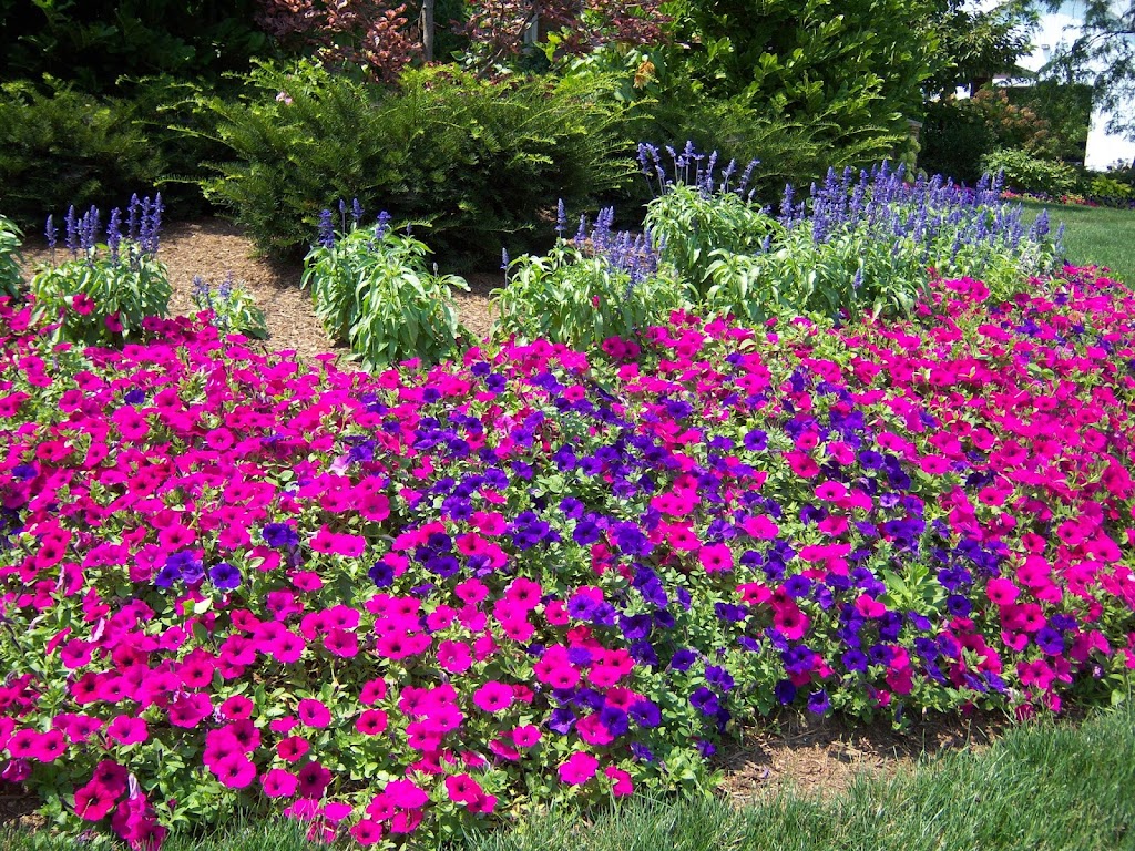 DeHoff Flowers, Greenhouse & Landscaping | 3517 Beechwood Ave, Alliance, OH 44601, USA | Phone: (330) 823-1455