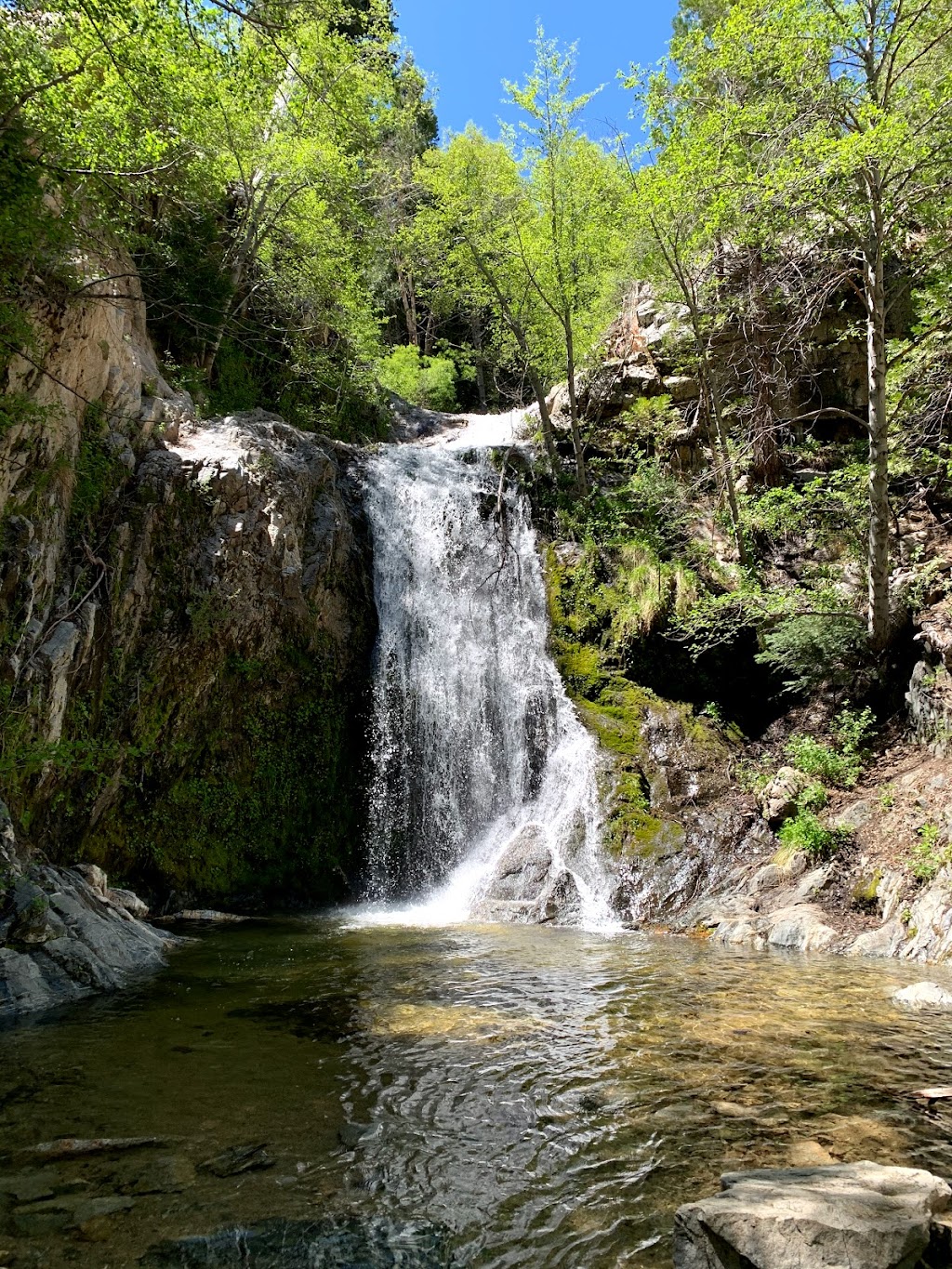Burkhart Trail to Cooper Canyon Falls | Burkhart Trail, Pearblossom, CA 93553, USA | Phone: (626) 574-1613