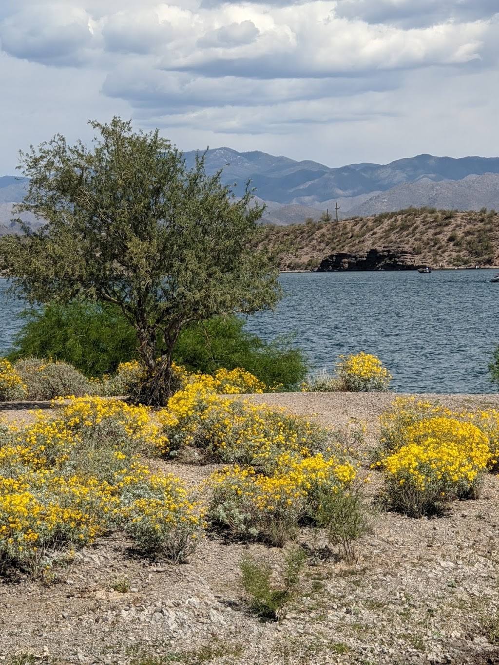 Lake Pleasant Regional Park | 41835 N Castle Hot Springs Rd, Morristown, AZ 85342, USA | Phone: (928) 501-1710