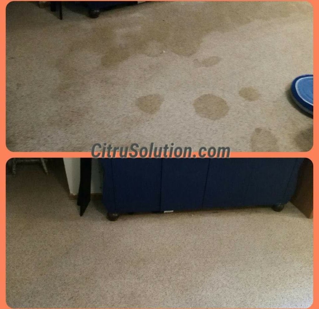 Citrusolution Carpet Cleaning of Cumming | 7940 Holyoke Rd, Cumming, GA 30040, USA | Phone: (678) 498-1717
