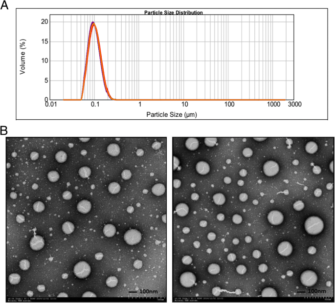 SDA BIO | 331 Goldsboro Ave, Sanford, NC 27330, USA | Phone: (919) 349-3023