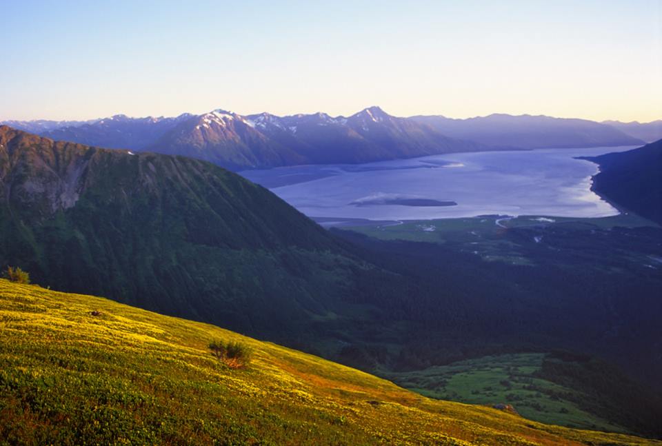 Girdwood Chamber of Commerce | 388 Crow Creek Rd, Girdwood, AK 99587, USA | Phone: (888) 999-9587