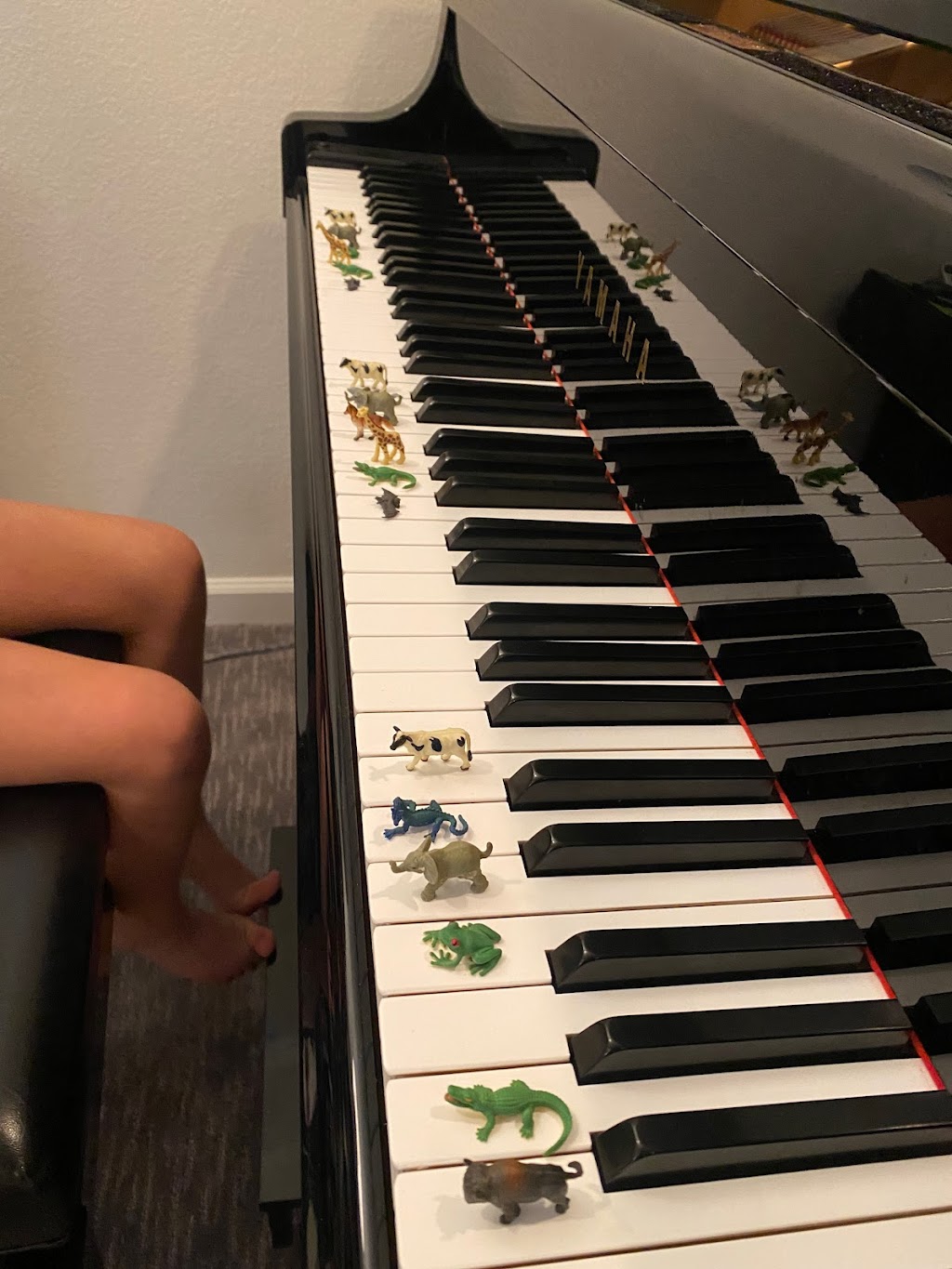 Hanna Aparo Piano Studio | 1620 Kalmia Ave, Boulder, CO 80304, USA | Phone: (626) 808-6390