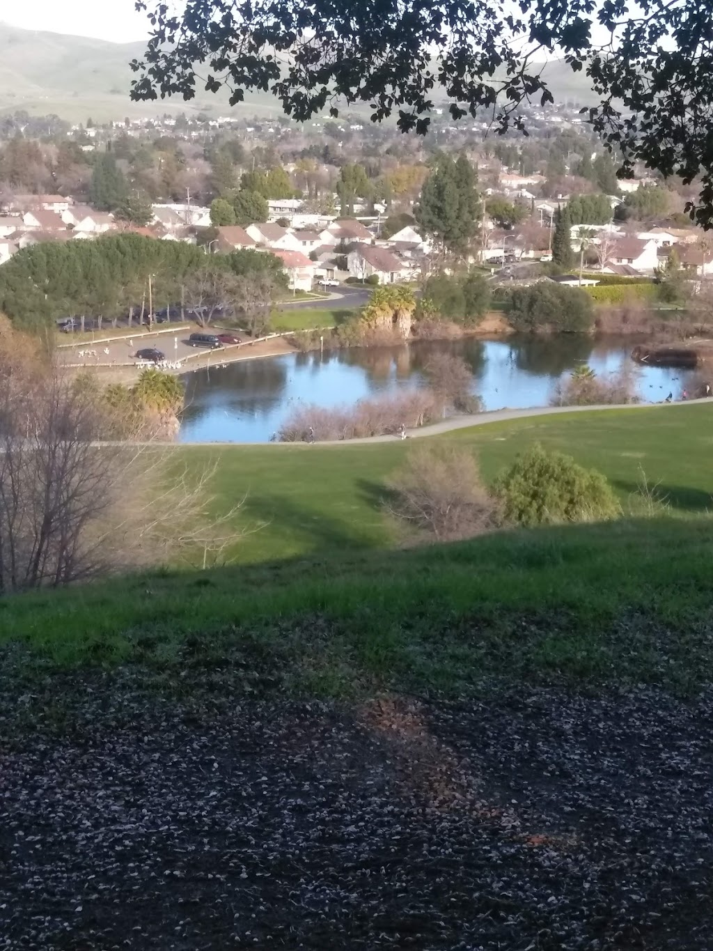 Newhall Community Park | 1351 Newhall Pkwy, Concord, CA 94521, USA | Phone: (925) 671-3404