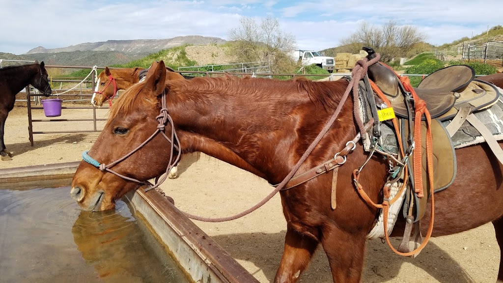 Arizona Horseback Adventures | 44029 N Spur Cross Rd, Cave Creek, AZ 85331, USA | Phone: (480) 488-9117