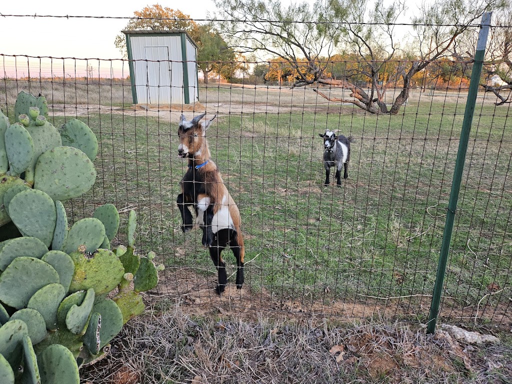 Heritage Veterinary Clinic | 4392 S FM 51, Decatur, TX 76234, USA | Phone: (940) 626-8284