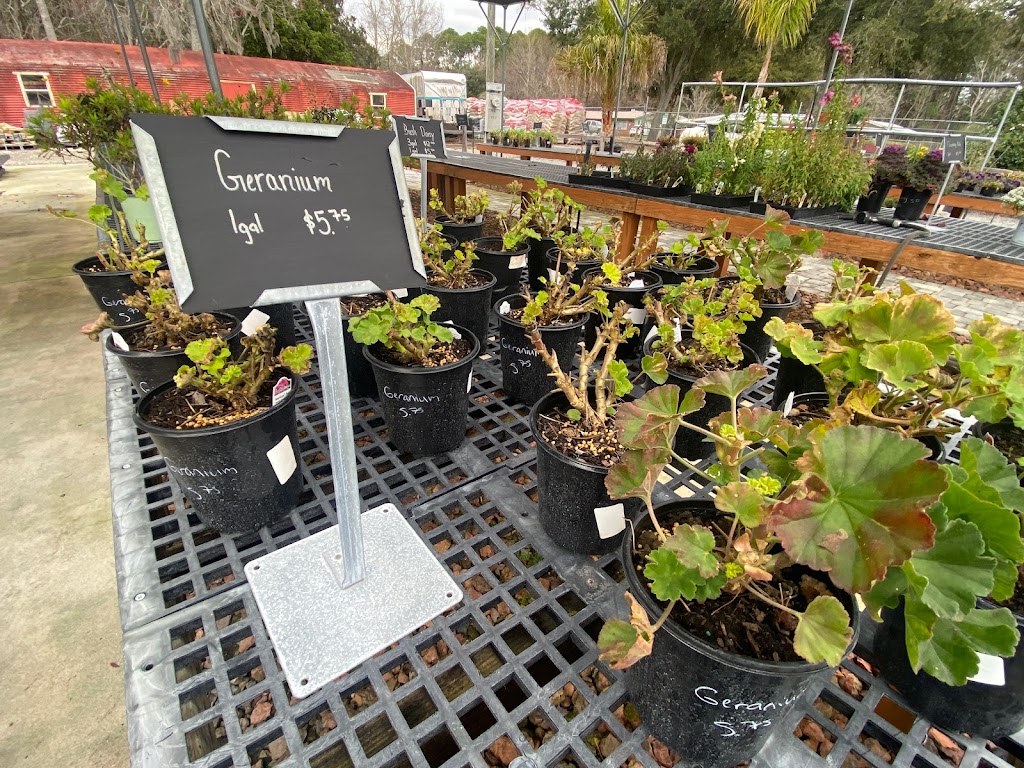 Allstar Garden Center | 11938 Pulaski Rd, Jacksonville, FL 32218, USA | Phone: (904) 240-0949