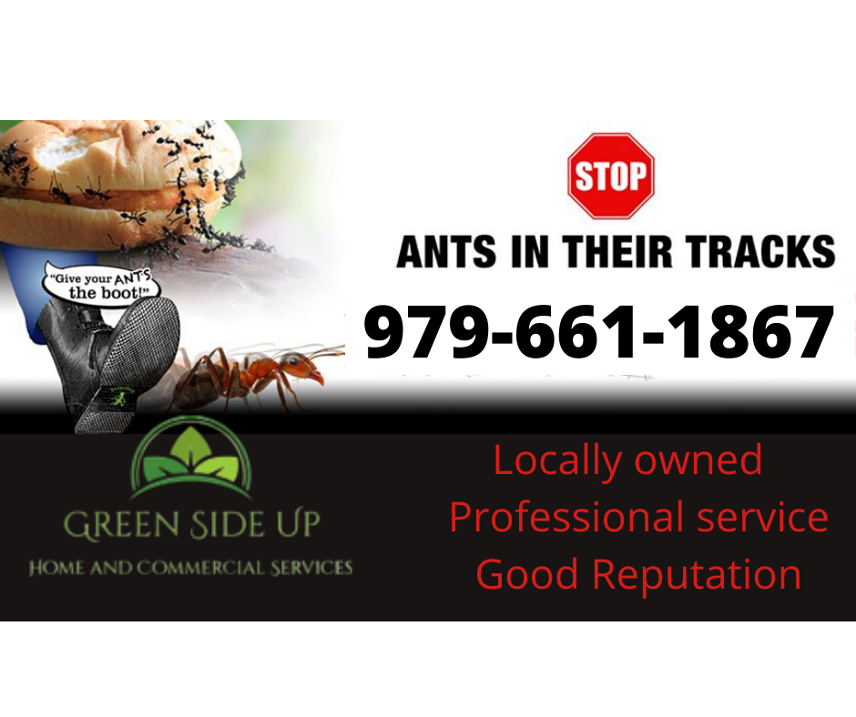 Green Side Up, LLC | 629 Broadway Blvd, Portland, TX 78374 | Phone: (361) 413-0587