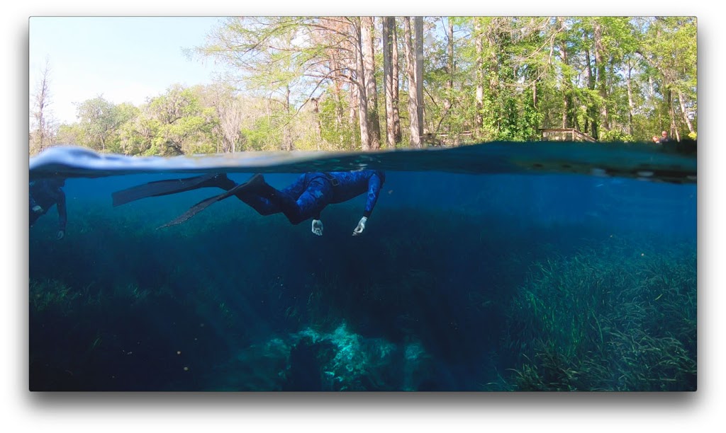 Tidal freediving | 4428 Flatbush Ave, Sarasota, FL 34233, USA | Phone: (941) 536-6995