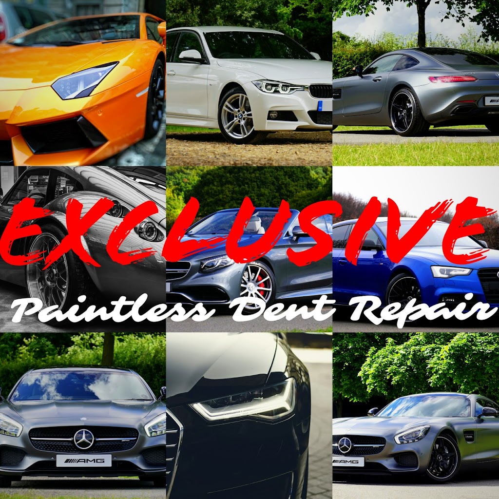 Exclusive Paintless Dent Repair (By Appointment Only) | 12015 Fruitwood Dr, Riverview, FL 33569, USA | Phone: (727) 304-5557