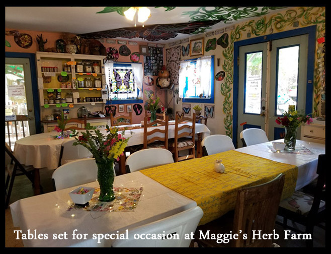 Maggies Herbs | 11400 County Rd 13 N, St. Augustine, FL 32092, USA | Phone: (904) 829-0722