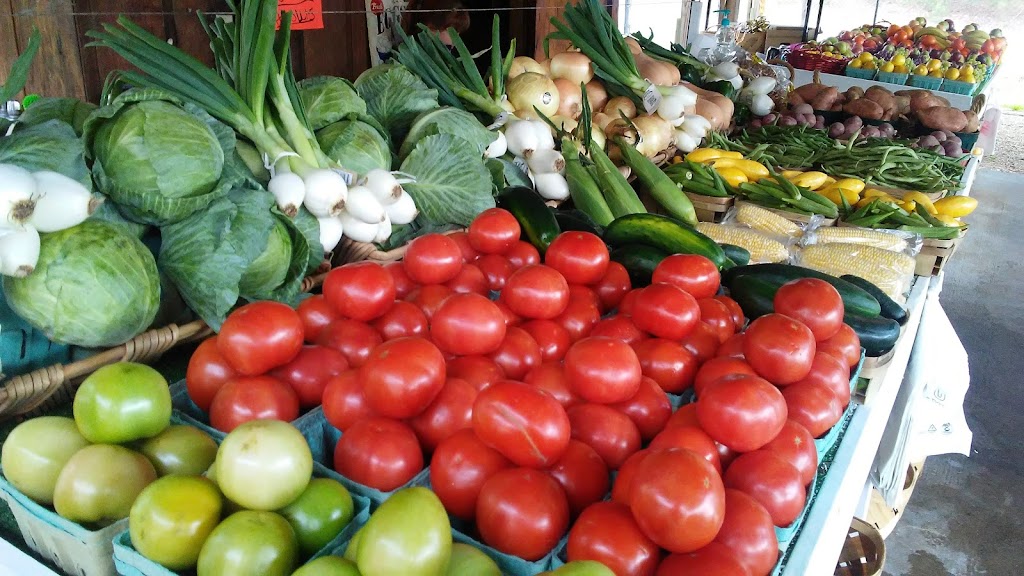 Veggie Patch Produce | 1502 US-29, Newnan, GA 30263, USA | Phone: (770) 304-0674