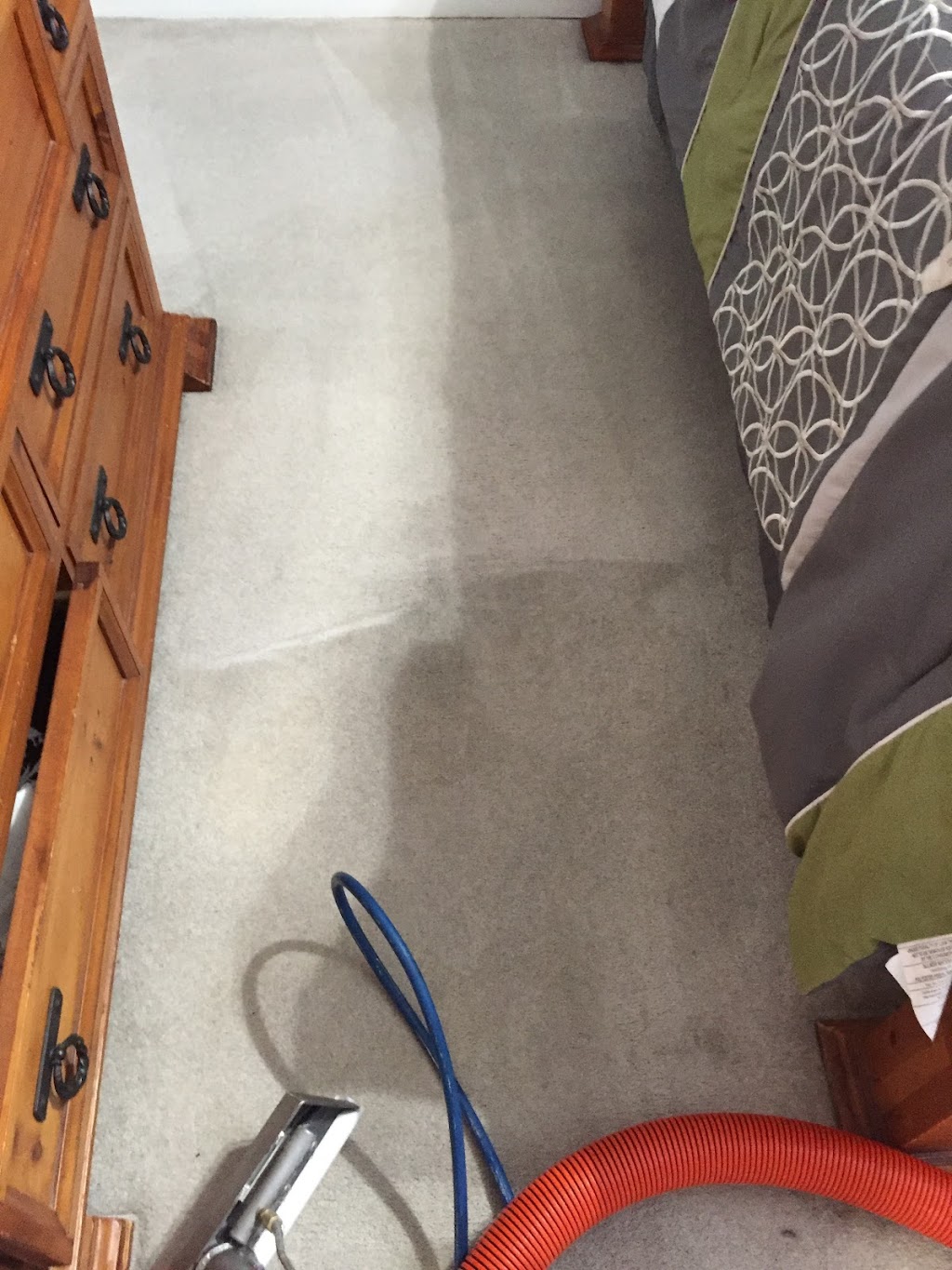 Piasecki Carpet and Upholstery Cleaning | Carter Rd, Carleton, MI 48117, USA | Phone: (313) 220-5538