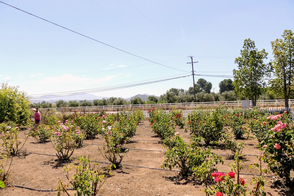 Rosary Garden | 3323 CA-67, Ramona, CA 92065, USA | Phone: (760) 533-5360
