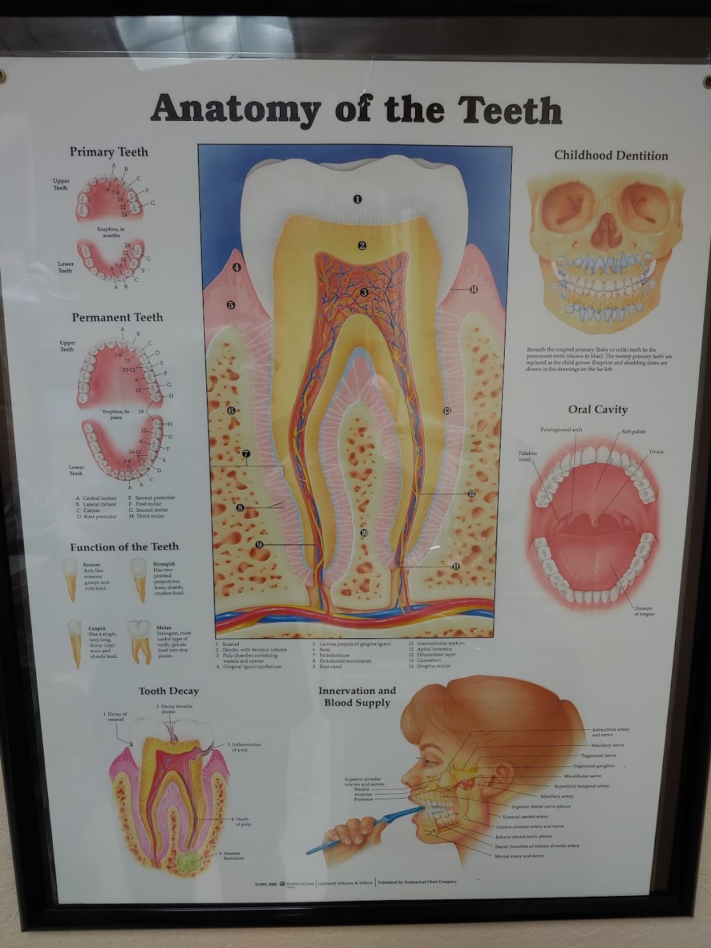 Wright & Bui Dental | 1801 Harwood Ct, Hurst, TX 76054, USA | Phone: (817) 788-0573