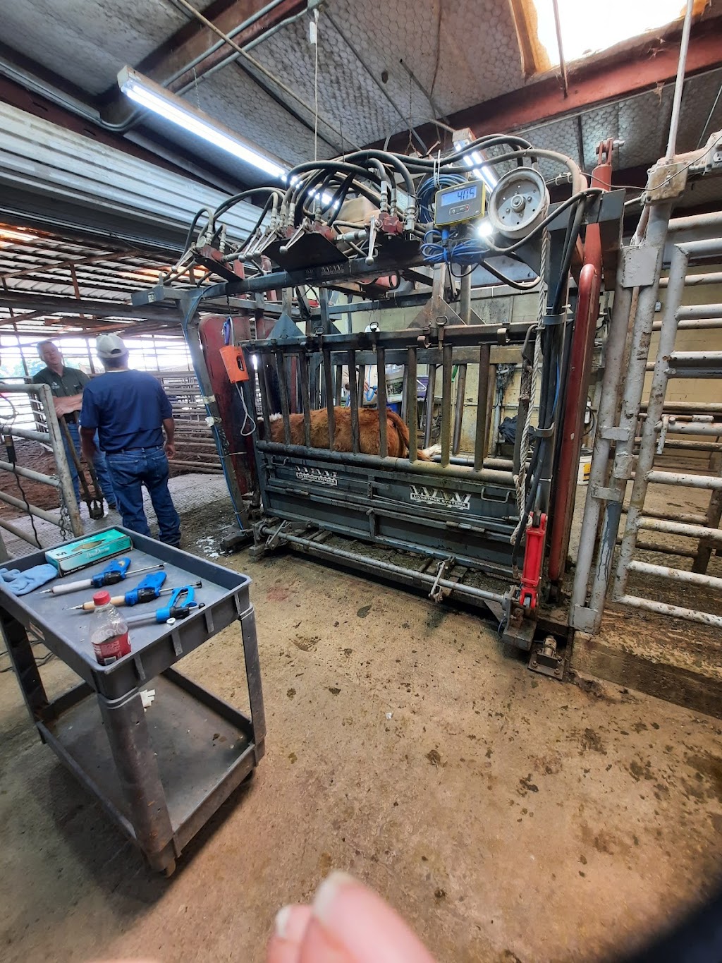 Wills Point Veterinary Clinic | 1209 W Park Dr, Wills Point, TX 75169, USA | Phone: (903) 873-9132