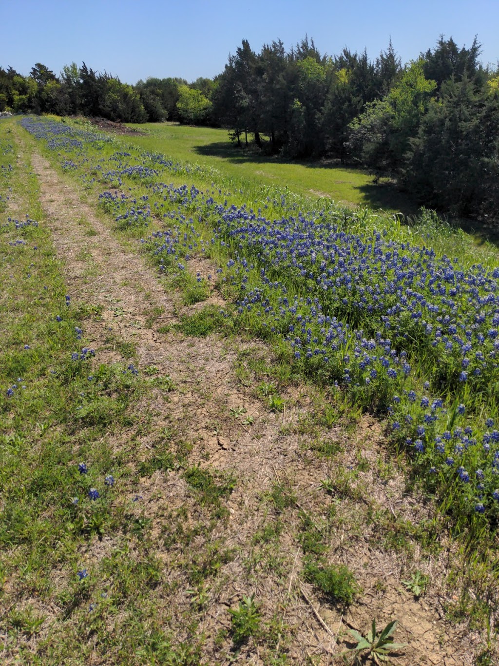 Ennis Disc Golf Course at South Lake Clark Park | 3000 W Ennis Ave, Ennis, TX 75119, USA | Phone: (972) 878-4748