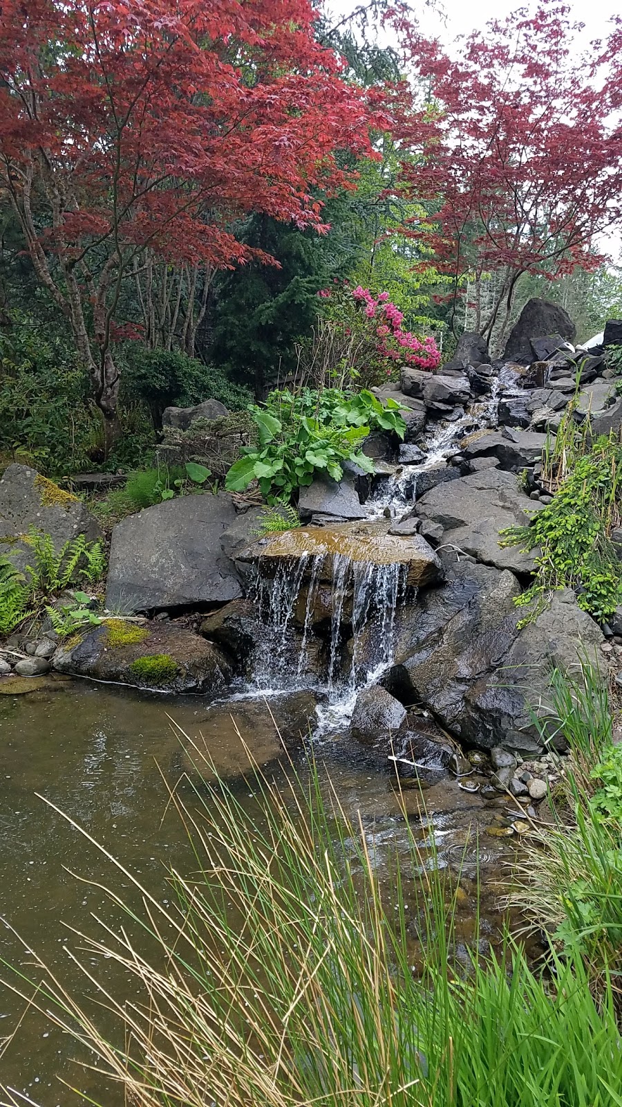 Rodgers Country Nursery & Gardens | 2075 Seabeck Hwy NW, Bremerton, WA 98312 | Phone: (360) 478-0288