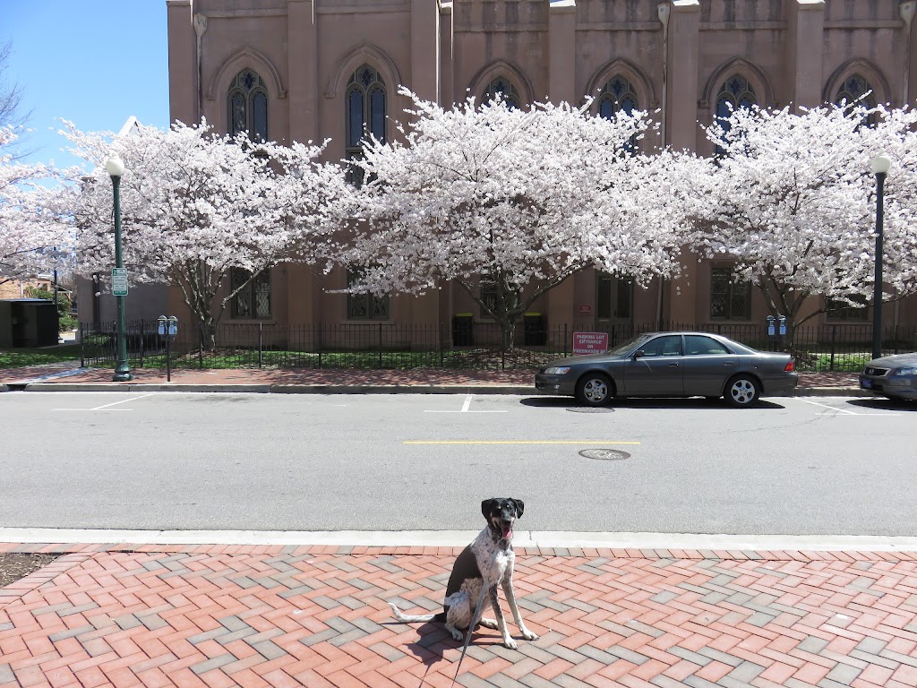 Freemason Street Baptist Church | 400 E Freemason St, Norfolk, VA 23510, USA | Phone: (757) 625-7579