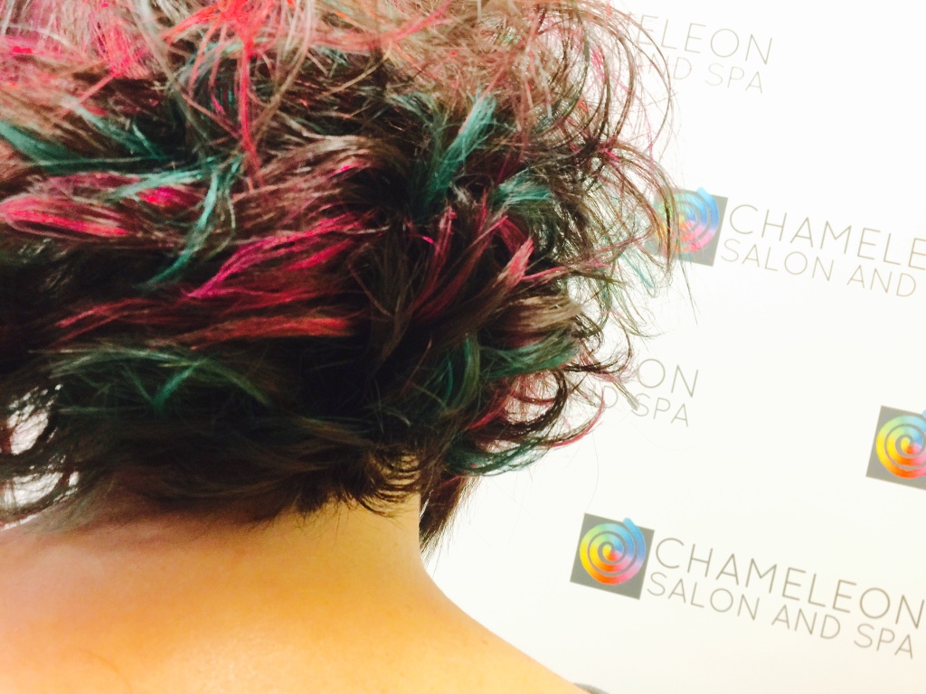 Chameleon Salon | 180 Centre St, Holbrook, MA 02343, USA | Phone: (781) 986-4247