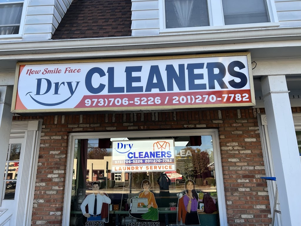 New Smile face Cleaner | 254 Comly Rd, Lincoln Park, NJ 07035, USA | Phone: (973) 706-5226