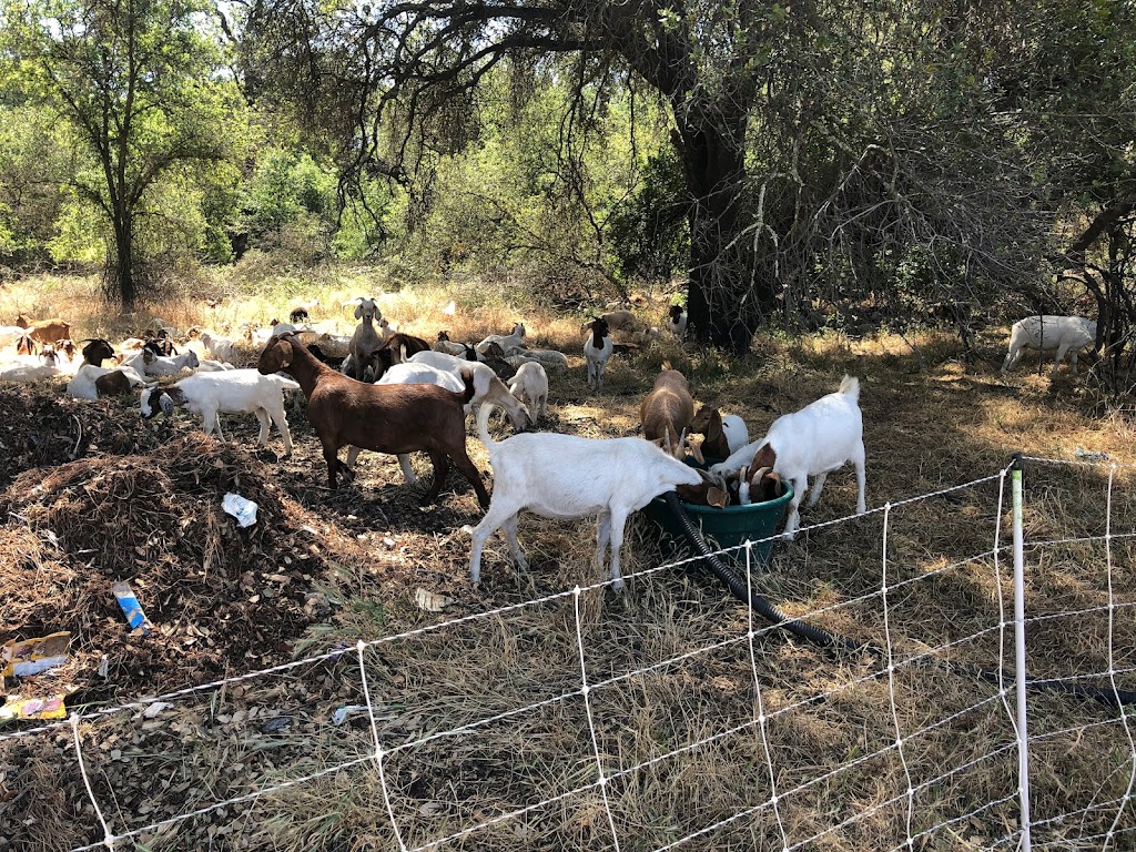 Arcade Creek Nature Area | Carmichael, CA 95608 | Phone: (916) 482-8377