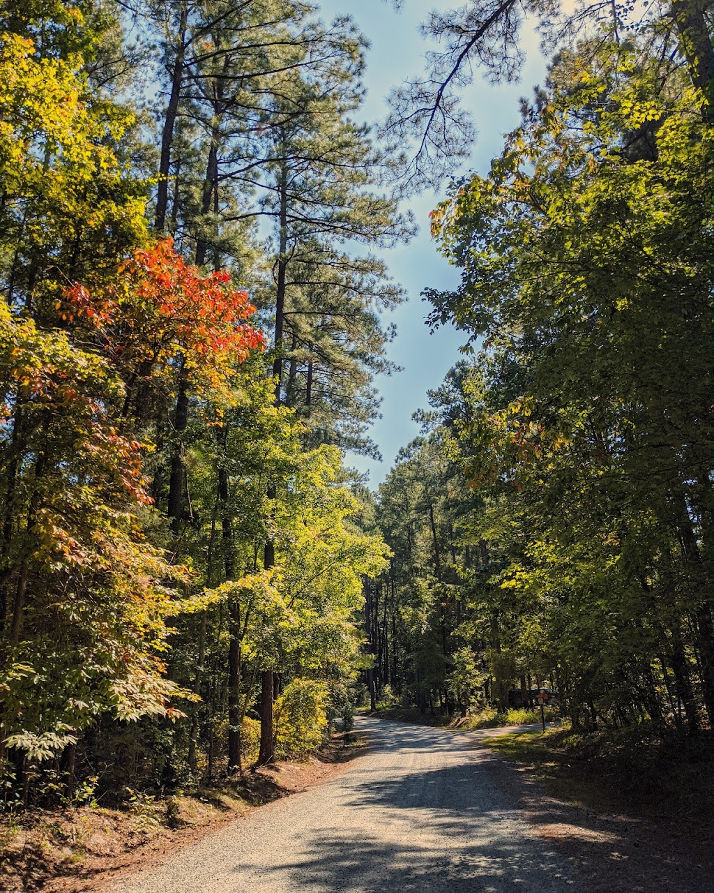 Jordan Lake Educational State Forest | 2832 Big Woods Rd, Chapel Hill, NC 27517, USA | Phone: (919) 542-1154