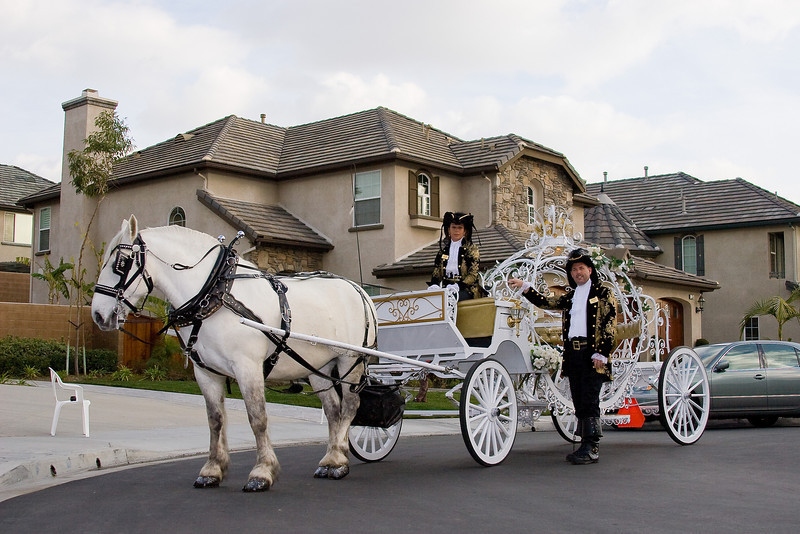 Cindy Cinderella Carriages | 5665 46th St, Riverside, CA 92509, USA | Phone: (951) 529-5269