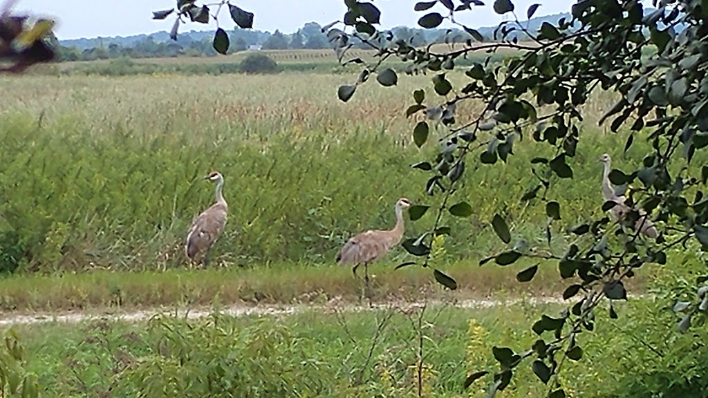 Glacial Drumlin State Trail - West | 1213 S Main St, Lake Mills, WI 53551, USA | Phone: (920) 648-8774