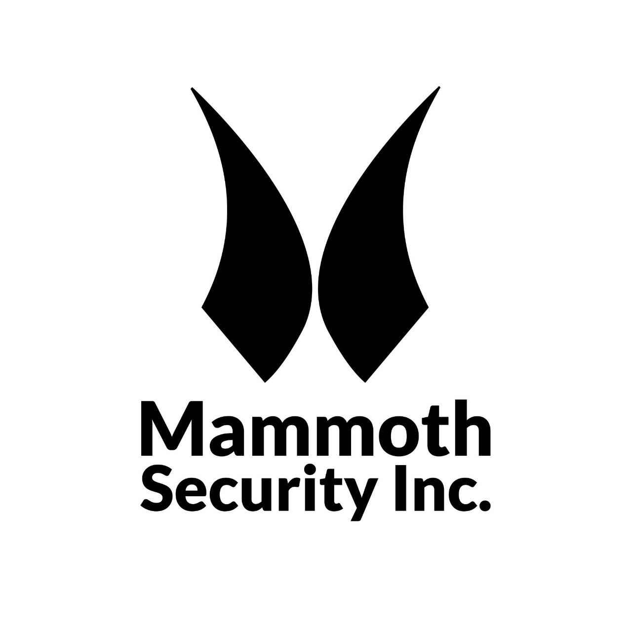 Mammoth Security Inc. New Haven | 857 Whalley Ave Suite 201, New Haven, CT 06515, United States | Phone: (203) 747-8244