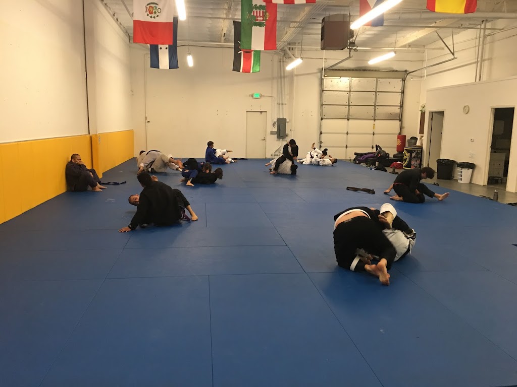 Sabre Jiu Jitsu Academy | 930 Detroit Ave Suite F, Concord, CA 94518, USA | Phone: (925) 305-1748