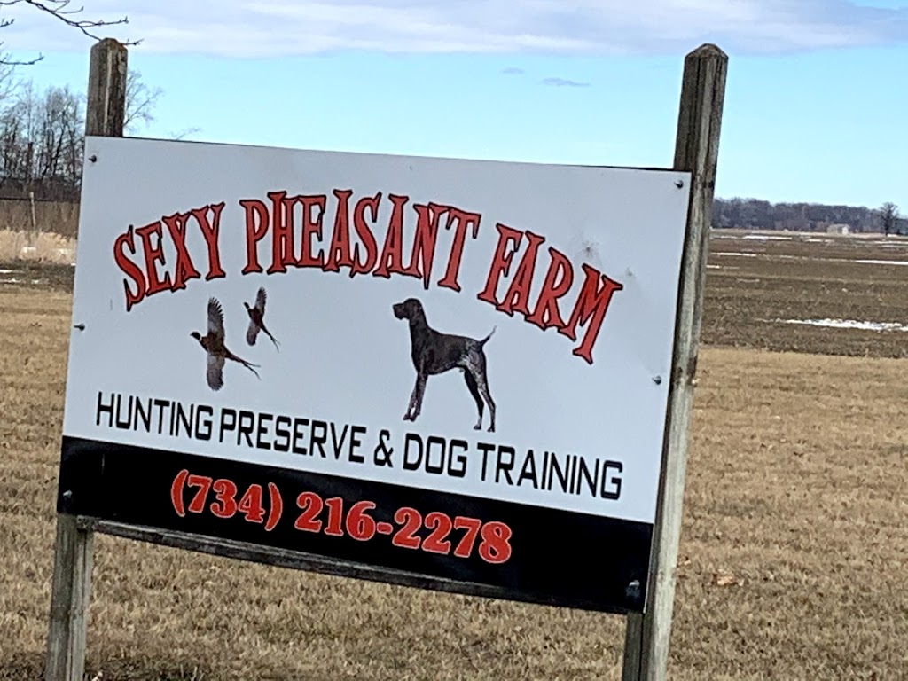 Sexy Pheasant Farm | 18378 Day Rd, Dundee, MI 48131, USA | Phone: (734) 216-2278