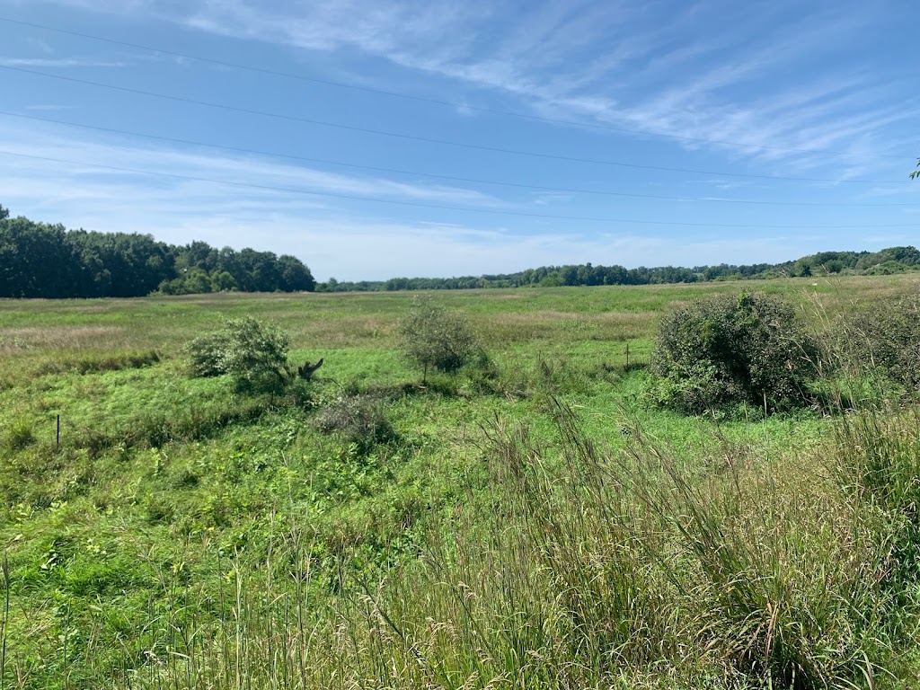 Watkins Lake State Park Parking Area | Brooklyn, MI 49230, USA | Phone: (517) 467-7401