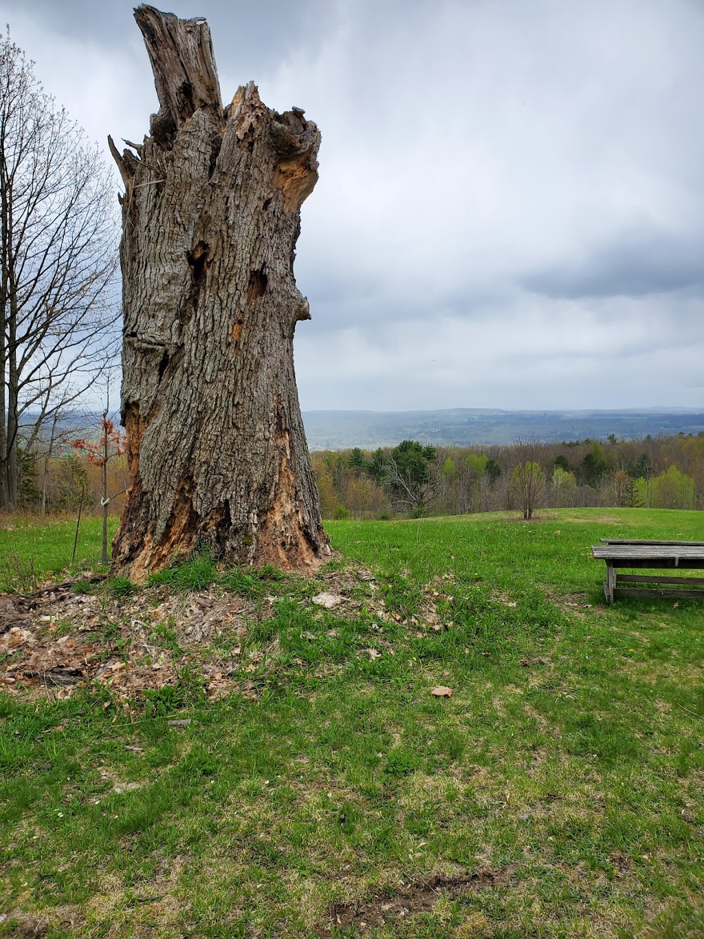 Landis Arboretum | 174 Lape Rd, Esperance, NY 12066, USA | Phone: (518) 875-6935